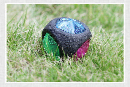 Premium Canine Play Ball