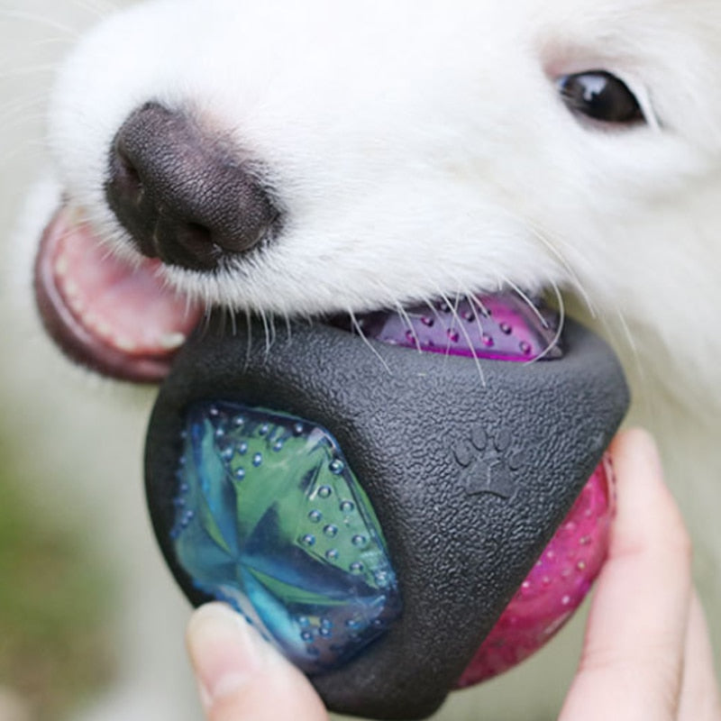 Premium Canine Play Ball