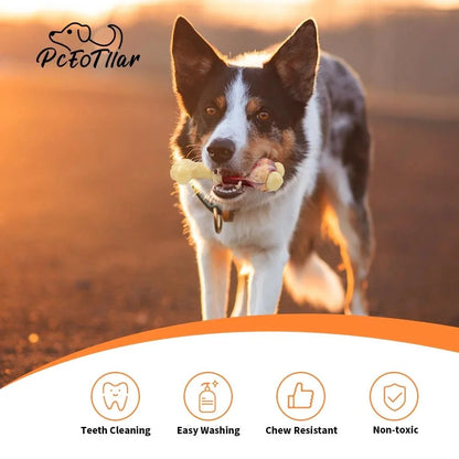 Premium Beef-Flavored Nylon Chew Toys for Large Breeds and Aggressive Chewers