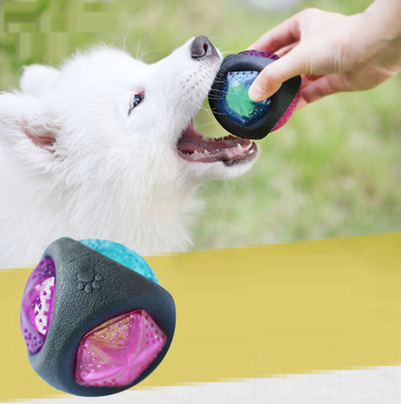 Premium Canine Play Ball