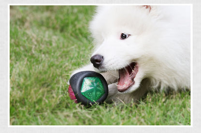 Premium Canine Play Ball