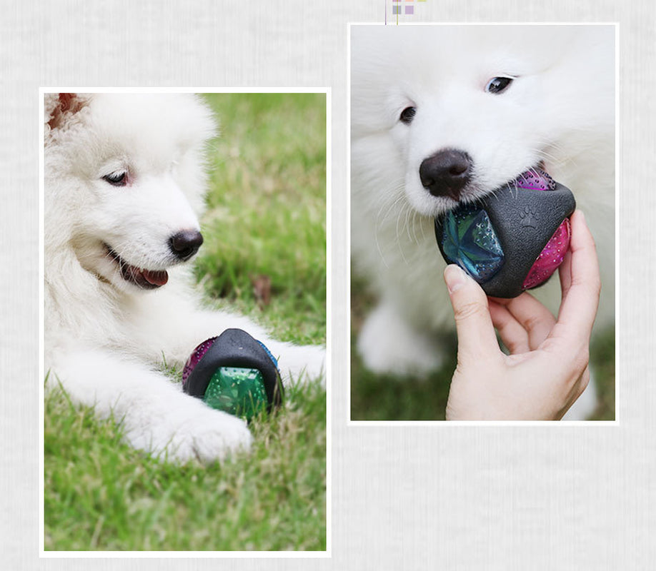 Premium Canine Play Ball